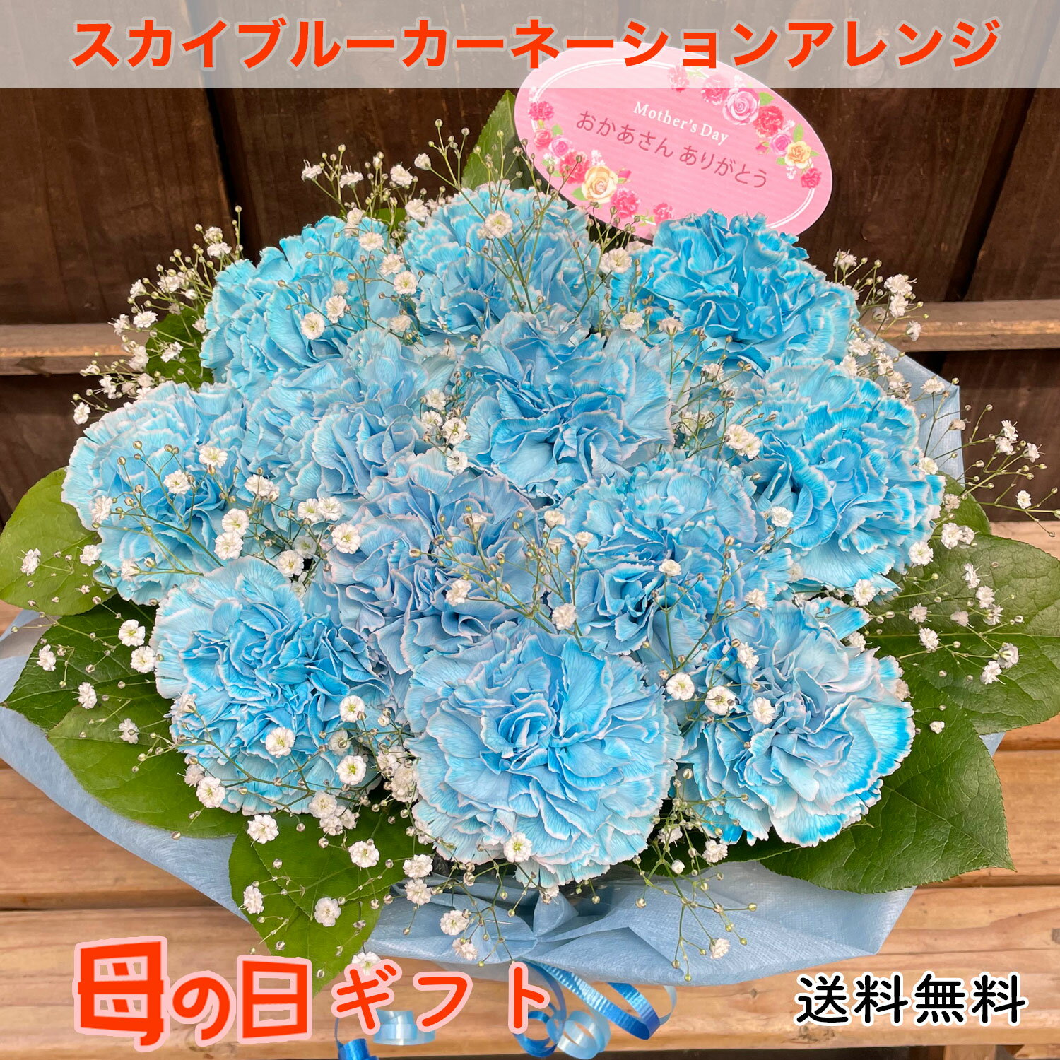 【母の日ギフト】 スカイブルーカーネーション 水色 優しい青 アレンジ 送料無料 お母さん 母 花 
