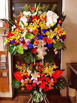 Web限定 St004 スタンド花 2段 スタンド 花 お祝い 誕生日 ギフト 開店 周年 開業 祝 バースデー 舞台 公演 コンサート 発表会 ライブ 個展 オープン 御祝 イベント Simpelgereedschap Nl