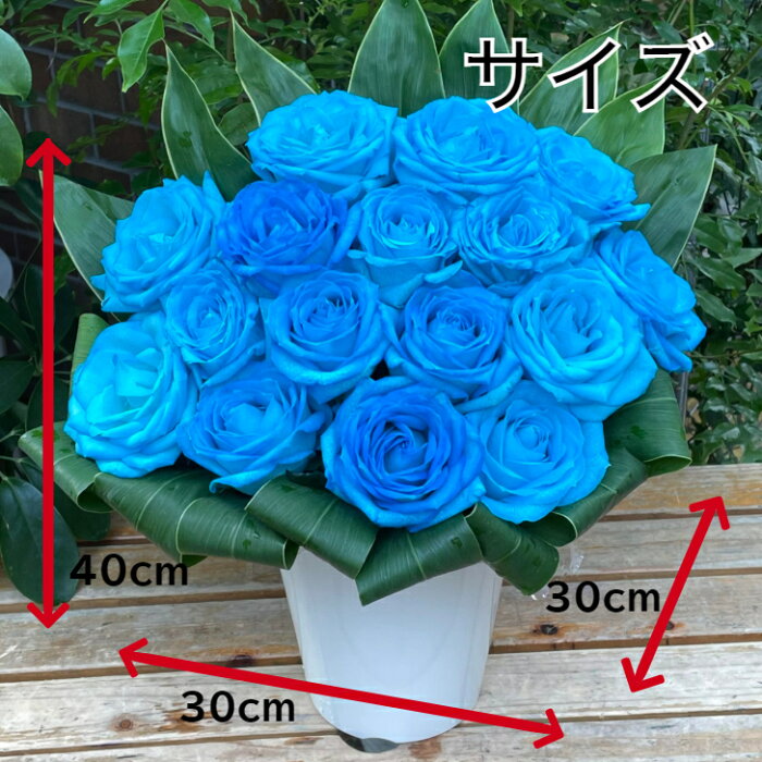 青色 スカイブルー ブルー おしゃれ お中元 可愛い 水色 フラワーアレンジメント ローズ スカイブルー 父の日 オシャレ アレンジ ギフト プレゼント 送料無料 おすすめ 爽やかな水色のバラのアレンジメントです 青 夏ギフト おしゃれ スカイブルー バラ ローズ 青いバラ 青色 スカイブルー ブルー おしゃれ お中元 可愛い 水色 フラワーアレンジメント ローズ スカイブルー 父の日 オシャレ アレンジ ギフト プレゼント 送料無料 おすすめ 爽やかな水色のバラのアレンジメントです 青 夏ギフト おしゃれ スカイブルー バラ ローズ 青いバラ