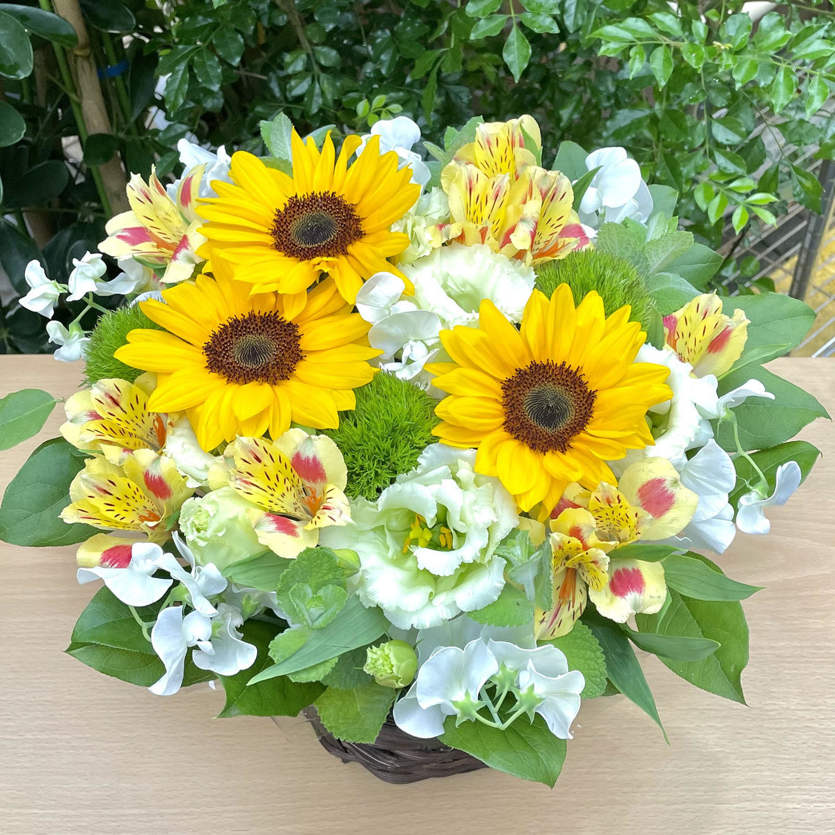 夏の 爽やか アレンジ 送料無料 お中元 夏ギフト 花 プレゼント 人気 メッセージ 誕生日 おしゃれ アレンジメント 父の日 ギフト フラワーアレンジメント ひまわり トルコキキョウ ヒマワリ オススメ フラワーアレンジ お父さん オシャレ 明るい おすすめ アレンジ花 0611 - 2