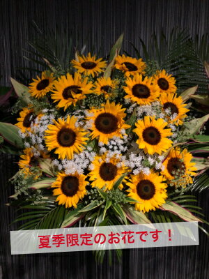 【東京23区限定】 スタンド花 1段 黄色 ヒマワリ ひまわり 向日葵 送料無料 開店 ...