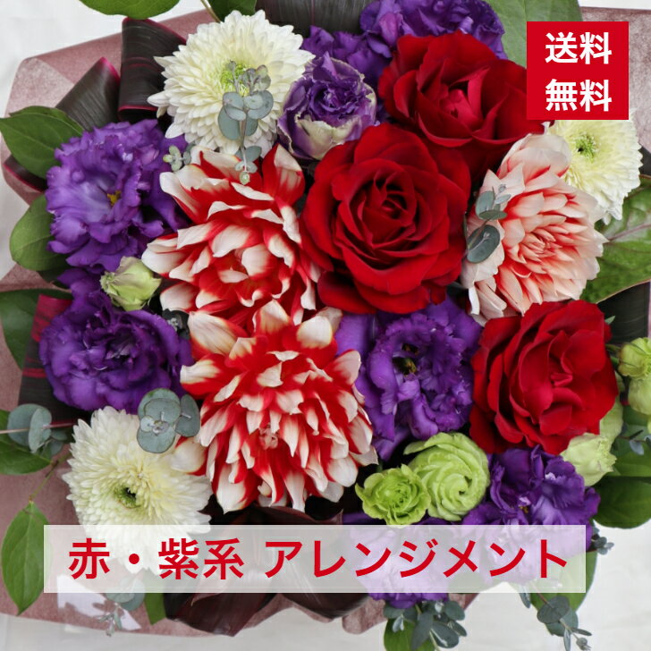 アレンジメント 赤・紫系 送料無料 赤 紫 赤系 紫系 赤紫 レッド パープル 愛 花 生花 誕生日祝い 移転..