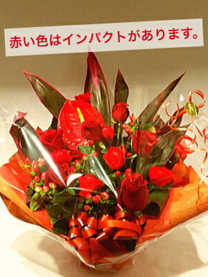 アレンジメント 赤系 送料無料 赤バラ 薔薇 赤い薔薇 情熱 愛 アンスリューム 花 生花 誕生日祝い 移転祝い 周年祝い クリスマス 2405 人気 生誕 おしゃれ オシャレ アレンジ花 バレンタイン バレンタインギフト バレンタインデー 父の日 おすすめ