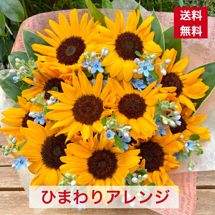 ひまわり アレンジメント 送料無料 お中元 夏ギフト ヒマワリ 父の日 夏 プレゼント 父の日ギフト 花 ひまわり 向日葵 おしゃれ お花 アレンジメント 夏の花 ヒマワリアレンジメント ヒマワリのアレンジメント 花ギフト フラワーアレンジ アレンジ花 0617のサムネイル