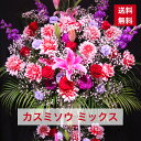 【東京23区限定】 スタンド花 2段 カスミソウミックス 可愛い かすみそう 赤 ピンク かすみそう 送料無料 開店祝い 移転祝い 竣工 花 生花 誕生日 バースデー 豪華 おしゃれ オシャレ フラスタ フラワースタンド スタフラ スタンドフラワー 商品ID 2439 スタンド(4)