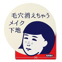 毛穴撫子 毛穴かくれんぼ下地 お肌の凸凹 毛穴 夜まできれい メイク下地 12g