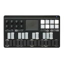 KORG(コルグ) 定番 USB/ワイヤレス オールインワン モバイルMIDIキーボード nanoKEY Studio 音楽制作 DTM A4サイズ コンパクト設計で持ち運びに最適 すぐに始められるソフトウェアライセンス込み 25鍵(2)