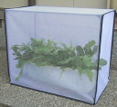 DAIM すっぽり虫よけカバー 小 幅60cm×奥行30cm×高50cm 虫よけ 虫除け 防虫ネット 害虫 対策 防虫カバー 虫 家庭菜園 園芸 ネット カバー キット 野菜作り ベランダ 庭 畑 玄関 (防虫 小)