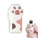 Bilious USBメモリ かわいい 猫の足 フラッシュメモリ 小型 大容量 64GB スライド式 可愛い USB 2.0 カラフル 耐衝撃 防水 防塵 (128GB, ピンク)