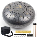 AKLOT スリットドラム, Cメジャー タングドラム 10インチ11音 打楽器 スチール製 収納バッグ付き 瞑想・ヨガ・癒し・祈り・治法・疲労療 癒し系の音色