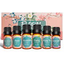 Poven アロマオイル 6本セット エッセンシャルオイル 精油 ラベンダー/ローズ/桜/ホワイトティー/イランイラン/ジャスミン 10ml×6本