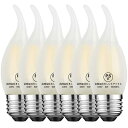 Zohadtak LED エジソン電球 シャンデリア電球 60W形相当 720lm E26 6W 復古電球 磨りガラスの材質 調光器非対応 4000K 昼白色 ...