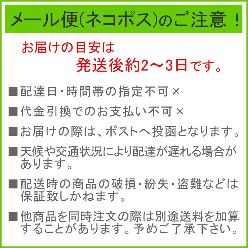 照喜名 生沖縄ソーキそば 2人前（麺・そばだし・具材） 【送料無料・メール便(ネコポス)】 ｜ てるきなそば生麺 ソーキそば 炙り軟骨ソーキ　照喜名製麺所 2