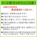 照喜名 生沖縄ソーキそば 2人前（麺・そばだし・具材） 【送料無料・メール便(ネコポス)】 ｜ てるきなそば生麺 ソーキそば 炙り軟骨ソーキ　照喜名製麺所 2