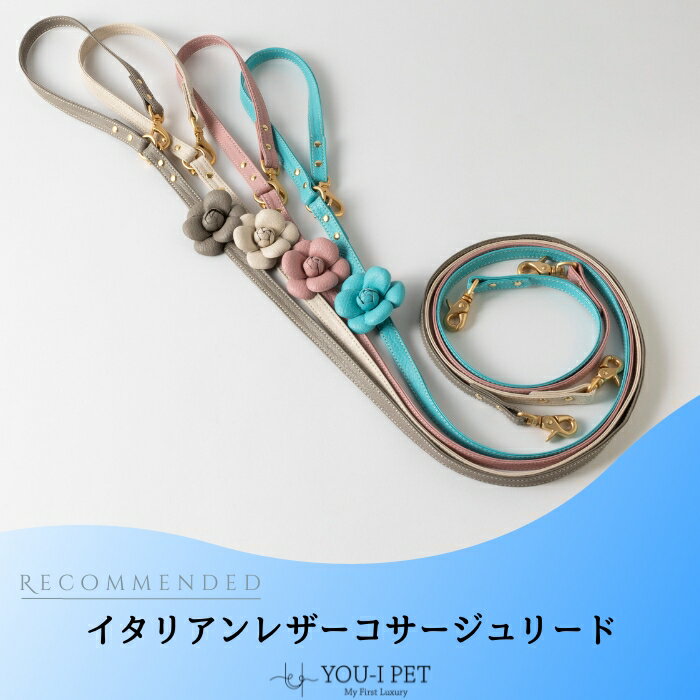 ☆クーポン使用10%off☆ お買い物マラソン期間犬リード　小型犬リード　送料無料　本革　トイプードル　チワワ　ポメプー　ポメラニアン　ダックス　おしゃれ　軽いリード