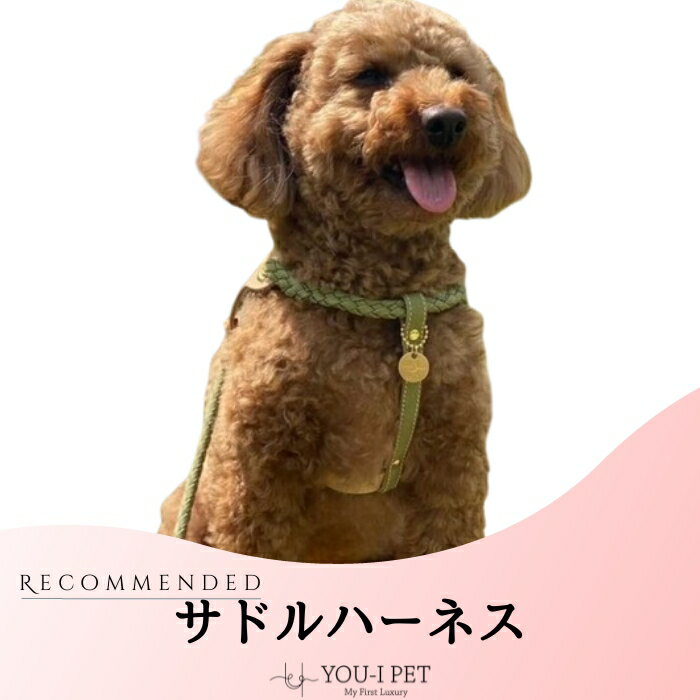 ☆クーポン使用10%off☆ お買い物マラソン期間犬ハーネス　小型犬ハーネス　中型犬ハーネス　送料無料　ハーネス 簡単装着 全10色　名入れ　カラフル　本革　胴輪　お散歩　おしゃれ　オリジナルデザイン