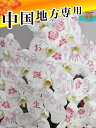 化粧蘭/化粧蘭3本立ち/化粧蘭3本立ち大輪 胡蝶蘭3本立ち36輪以上 蕾含む 中国地方 広島 岡山 島根 鳥取 山口