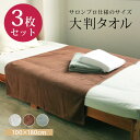 【2点以上最大P10倍!要エントリー4日20時〜】 超大判タオル 3枚セット タオルシーツ エステ サロン 大判 業務用 バスタオル 大きい 綿100% エコ ...