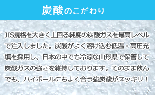 種類が選べる強炭酸水500ml48本送料無料プレーン・レモン強炭酸500ml【送料無料エリア限定】炭酸水24本x2ケース