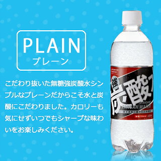 SALE【1箱あたり 1,190円 】種類が選べる 強炭酸水 500ml 48本 送料無料　プレーン・レモン 強炭酸 500ml【送料無料エリア限定】炭酸水　500ml 48本 送料無料