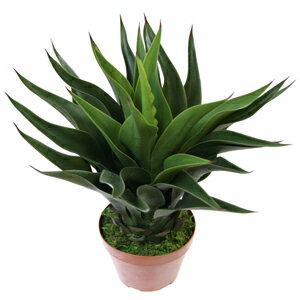 樂天商城 - 人工観葉植物　アガぺバリィ鉢付　600【人工観葉植物】