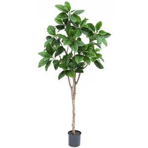人工観葉植物　フェイクグリーン　ピンポンの木1800【人工観葉植物・造花】