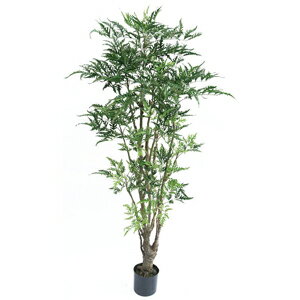 人工観葉植物　フェイクグリーン　ポリシャス　1800【人工観葉植物・造花】