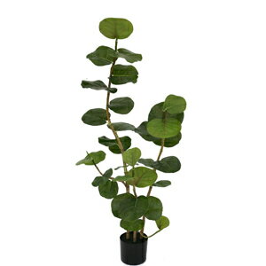 Rakuten - 人工観葉植物　フェイクグリーン　シーグレープ1250 【人工観葉植物・造花】