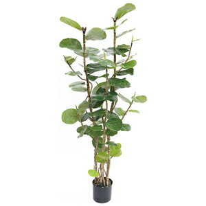 樂天商城 - 人工観葉植物　フェイクグリーン　シーグレープ1600 【人工観葉植物・造花】
