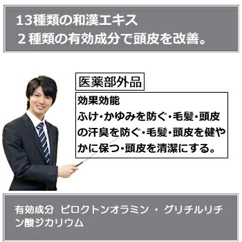 ★ 薬用ライデン スカルプシャンプー 400mL 送料無料 オイリー[脂性肌用] ライデン 育毛シャンプー 男性 薬用シャンプー ノンシリコンシャンプー/ スカルプケア アミノ酸シャンプー/シャンプー メンズ【楽ギフ_包装】【コンビニ受取対応商品】【沖縄・離島は別途送料】