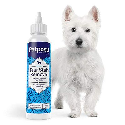 Petpost | ޤ䤱ࡼС - Ӥޤ䤱˺Ŭʥʥк - Υʥåĥ - ޥ˺Ŭ - ʤɺޤԻ