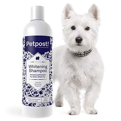 Petpost | 犬用ホワイトニングシャンプー - 白い犬のベストカラートリートメントシャンプー - 爽やかなスイカの香り - マルチーズ、シーズー、ビションフリーゼに最適