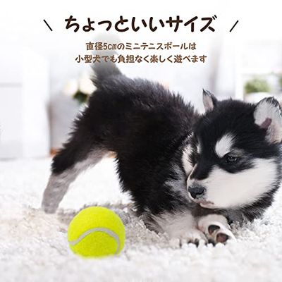 pet prime 犬用おもちゃ ミニテニスボ...の紹介画像3