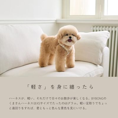 【BYBONG】くまさんハーネス 小型犬 (M, アイボリー) 2