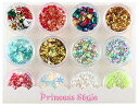 Princess-style シャカシャカモールド 封入パーツ ネイル レジン 12種類セット (クリスマス)