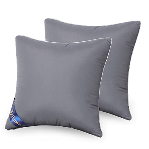 Belinna クッション中身 45x45cm*2（他のサイズもある）厚い 潰れない 二個セット cushion 背もたれ ソファークッション ヌードクッション 丸洗い可能 抱き枕