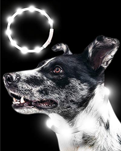 Qbit LED 犬光る首輪 【視認距離400mで夜間も安心】 犬 猫 光る 首輪 ライト 夜 散歩USB 充電式 小型犬 中型犬 大型犬 サイズ調節可能 ホワイト