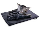 ペキュート Pecute ペット用ホットカーペット 角型 Sサイズ 40×32cm カバー1枚付き 猫用 小動物用 一年メーカー保証