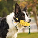 犬 玩具 頑丈 音が出る 犬 おもちゃ 噛む トウモロコシの形 歯清潔 口臭予防 耐久性 小型犬 中型犬 大型犬 に適用 3