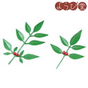 飾り南天