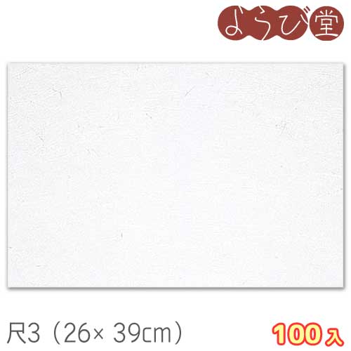 尺3 雲竜和紙まっと 白雲竜 無地 100枚入 26x39cm