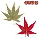 国産 天然 乾燥 紅葉 100枚入