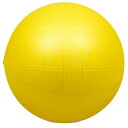 キッズカラーボール ボール 玩具 おもちゃ 遊具 外遊び ボール遊び 運動 スポーツ 子供用 誕生日プレゼント 子供 おもちゃ 男の子 女の子 誕生日 プレゼント 小学生 スポーツ玩具 運動グッズ 幼稚園 保育園 運動具 知育 おもちゃ こども 誕生日祝い 子供会