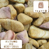 Ѻ ֥ 8ʬ礭 20-25mmmm ˡ1kg