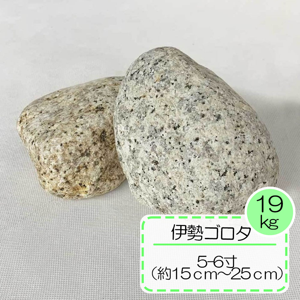 送料無料 砂利 庭 化粧砂利 庭石 石 じゃり 天然石 石材 伊勢ゴロタ 5寸-6寸 約15-25cm 和風 庭園 錆砂利 花崗岩 錆 日本庭園 坪庭 枯山水 園芸 敷砂利 敷き砂利 砕石 国産 菰野町 三重県のサムネイル