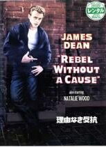 ◆商品説明◆ 商品名 【中古】 理由なき反抗 [レンタル落ち] [DVD] JAN 4988135526991 型番 DLR14069 ご確認ください 状態「中古：やや傷や汚れあり」 ●レンタル店で使用されていた中古品です。」 ●当店で取り扱いを行っている、中古DVD、中古ブルーレイ、中古CDはすべて「ケース無し」になります。」 ●ディスクは不織布ケースに入れ、ジャケットとともに送付いたします。」 ●鑑賞用で販売させて頂いております。あまりに神経質な方、完璧を求められる方はご購入をお控え下さい。」 ●ジャケット(紙)には、バーコード・管理用シール等が貼ってある場合があります。」 ●ジャケット(紙)には、日焼け箇所がある場合があります。完璧を求められる方はご購入をお控え下さい。」 ●店舗や他サイトでも販売している為、在庫切れの場合はキャンセルとさせて頂きます。予めご了承下さい。」【中古】 理由なき反抗 [レンタル落ち] [DVD] [洋画][映画]