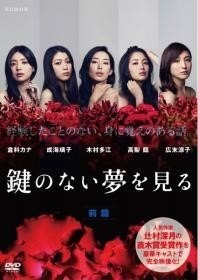 【中古】 鍵のない夢を見る (2巻セット) [レンタル落ち] [DVD]