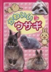 &nbsp;JAN&nbsp;4988003959197&nbsp;品　番&nbsp;KIBR5112&nbsp;制作年、時間&nbsp;2004年&nbsp;26分&nbsp;製作国&nbsp;日本&nbsp;メーカー等&nbsp;キングレコード&nbsp;ジャンル&nbsp;趣味、実用／子供向け、教育／動物&nbsp;カテゴリー&nbsp;DVD&nbsp;入荷日&nbsp;【2023-10-12】【あらすじ】5歳以上の子供を対象に、学校や集合住宅で大人気のペット“ウサギ”の種類、生態、飼育方法などを、オリジナルアニメキャラクター（らびぃ）が紹介。“ウサギ”を飼育する上での注意点や体の不思議などの知識を、子供たちが楽しみながら覚えられる。レンタル落ち商品のため、ディスク、ジャケットに管理シールが貼ってあります。