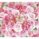 【処分特価・未検品・未清掃】【中古】CD▼UNDER:COVER 初回限定盤 2CD レンタル落ち
