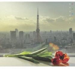 【バーゲンセール】【中古】CD▼花鳥風月 レンタル落ち